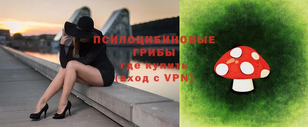 гидра Аркадак