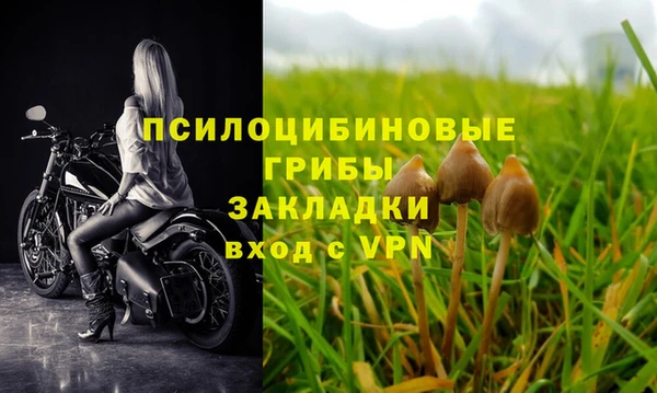 гидра Аркадак