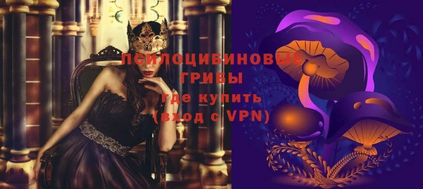 гидра Аркадак