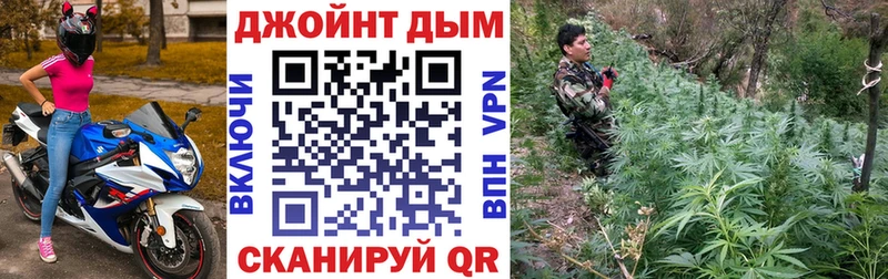 Купить  Кубинка  Конопля ГИДРОПОН 